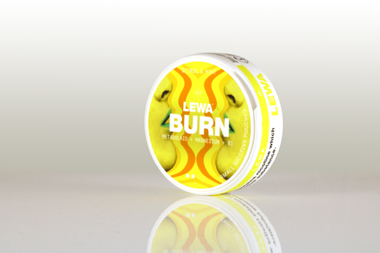 LEWA FUNCTIONAL BURN  CITRUS & MINT